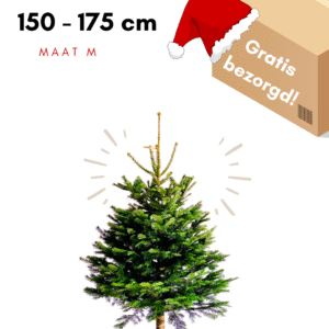 kerstboom kopen amsterdam