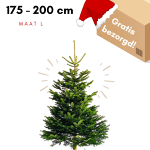 kerstboom bezorgen amsterdam
