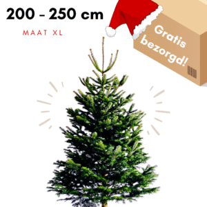 kerstboom amsterdam