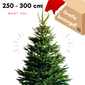 kerstbomen amsterdam